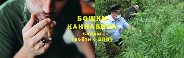 не бодяженный Бородино