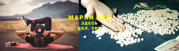 не бодяженный Бородино