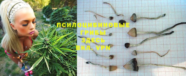 эйфоретик Билибино