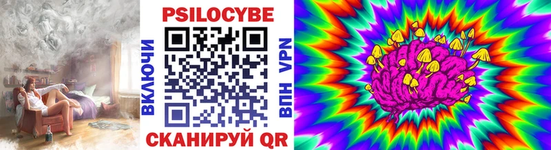 хочу наркоту  кракен вход  darknet клад  Вилюйск  Псилоцибиновые грибы прущие грибы 